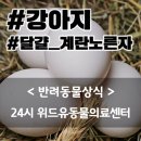 닥터김 동물의료센터 이미지