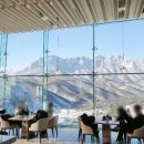 소노펠리체 델피노 이미지