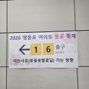 대교모터스 | [영등포 여의도 봄꽃축제] 여의도 윤중로 벚꽃축제 첫 날 후기 ~.~