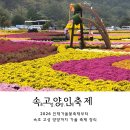 고성군종합운동장 | 2026 강원도 가을축제 인제가을꽃축제, 양양송이연어축제, 고성명태축제, 속초설악제까지 일정 총정리