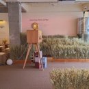 새길마트 이미지