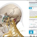 병인한의원 | 안면신경마비, 왜 한의원에 가요? [벨마비, 구안와사, 안면신경마비, 눈 안감김, 얼굴 비뚤어짐]
