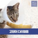 율하시티동물병원 이미지