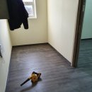 옥천 스크린 이미지