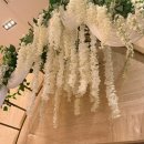 주차11 | [강남] 더청담 웨딩홀 노블레스 11시 예식 뷔페 주차 하객 후기