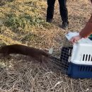 울산광역시 야생동물구조관리센터 이미지