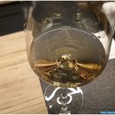 씨트루스 이미지