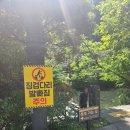 천지연주차장 | 제주 서귀포 5월 여행 가볼만한곳 천지연 폭포 주차장 입장료 사진스팟 솔직후기