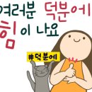 남문신우부동산중개사무소 이미지