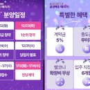 금성백조예미지 이미지