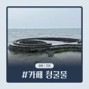 카페 청굴물 제주 구좌 <b>카페</b> <b>청굴물</b> | 김녕 가볼만한곳 제주도 이색 사진 명소 추천