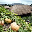 망태수퍼 이미지