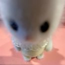 무지개노래연습장 | 나랑 아니면