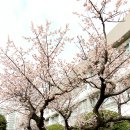 김해고등학교 이미지