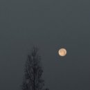 지수네밥상 이미지