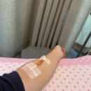 세종병원 | 세종 난임병원 전원후기 (세종충남대에서 트리니움으로)