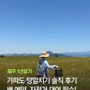하모리-9 | 제주 1년살기 가파도 당일치기 솔직 후기 (배예약, 자전거대여 필수)
