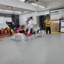 정태권도 이미지