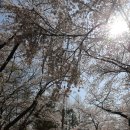 김송필 희망의향기 이미지