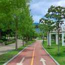 디자인공원 | 양산 디자인공원 물놀이장 후기 운영시간 휴장일 정보