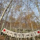 (주)화담 | 가을 단풍명소 추천 화담숲 11월 첫째주 방문 후기 & 화담숲 화담채 예매 꿀팁과 번지없는 주막 식사 리뷰