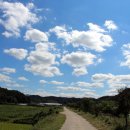 용촌마을 이미지