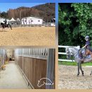 팀피(TEAM-P) 이미지