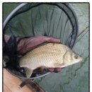 배내미낚시터 이미지