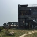 카페송정