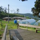 상옥농장2 이미지