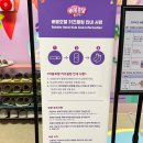 나나 펫 살롱 | 제주 신상 키즈카페 / 비오는 날 아이와 가기 좋은 키즈카페 / 버블호텔키즈클럽