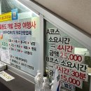 코끼리관광주 이미지