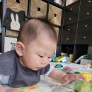 모모마트 이미지