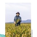 드림로컬푸드협동조합 이미지