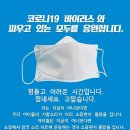 정상태권도장 이미지