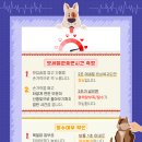 바른동물메디컬센터 이미지