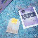 송원수지 이미지