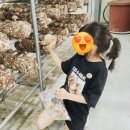 영농조합법인 김포관광농원 | [202506] 혜자로운 김포투어패스여행2 : 김포벼꽃농부 &amp; 김포 농부