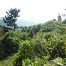 합성동102 이미지