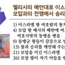 원정들3 이미지