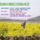필그린인카운터 이미지