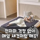 한일세탁소 | 전자파 걱정 없이 꿀잠? 곰표 탄소매트, 당신의 삶의 질 상승템!