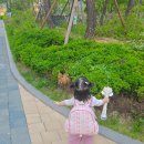 핑크리본 | [프레젠트프로젝트] 프프 리틀백팩 핑크리본 후기