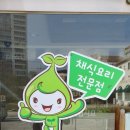 하루채 이미지
