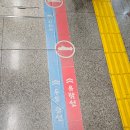 성산포항여객터미널 ↔ 성산포항공영주차장 이미지