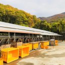 안산목장 이미지