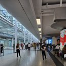 비아다빈치 | 시칠리아 카타니아 공항에서 시내까지 | 알리버스 Alibus 타는 법 완전 정리