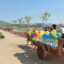 전국한우협회제천시지부