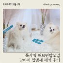 허브덴탈 | 독샤워 허브덴탈오일로 강아지 입냄새 제거 후기