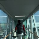 제주사랑운동센터 메디짐 | [제주도] 돌전아기랑 떠난 제주도 2박3일 여행✈️ +여행 꿀팁!!